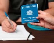 Segurado Facultativo